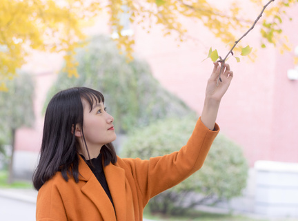 菲律宾宿务养老签证工签 退休移民办理流程是什么